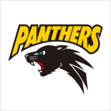 Panasonic Panthers Logo